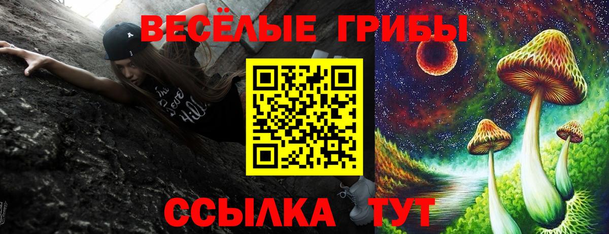 Обь  Галлюциногенные грибы мицелий  Вход с VPN  Псилоцибиновые грибы ЛСД 